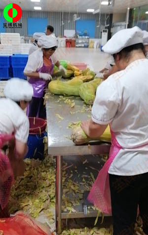 工程售后團隊現場考察江西客戶生產現場,提供整套瓜果加工設備方案！